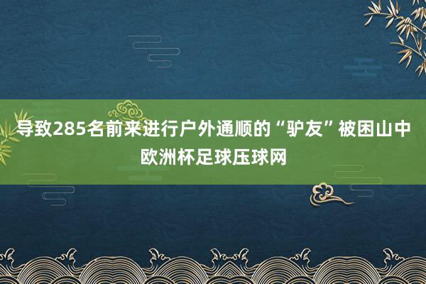 导致285名前来进行户外通顺的“驴友”被困山中欧洲杯足球压球网