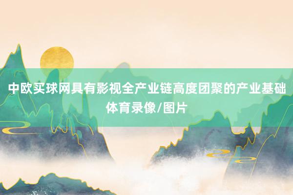 中欧买球网具有影视全产业链高度团聚的产业基础体育录像/图片