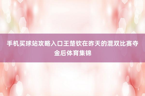 手机买球站攻略入口　　王楚钦在昨天的混双比赛夺金后体育集锦