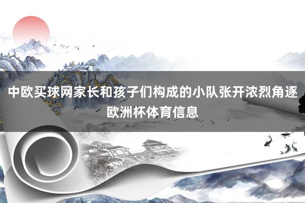 中欧买球网家长和孩子们构成的小队张开浓烈角逐欧洲杯体育信息