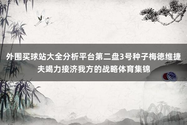 外围买球站大全分析平台第二盘3号种子梅徳维捷夫竭力接济我方的战略体育集锦