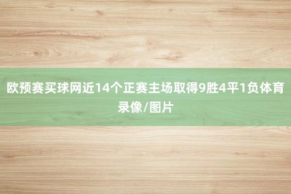 欧预赛买球网近14个正赛主场取得9胜4平1负体育录像/图片