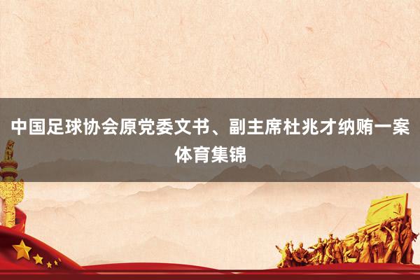 中国足球协会原党委文书、副主席杜兆才纳贿一案体育集锦