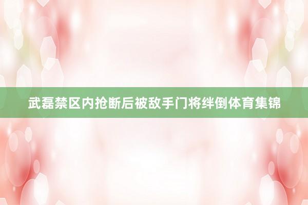 武磊禁区内抢断后被敌手门将绊倒体育集锦