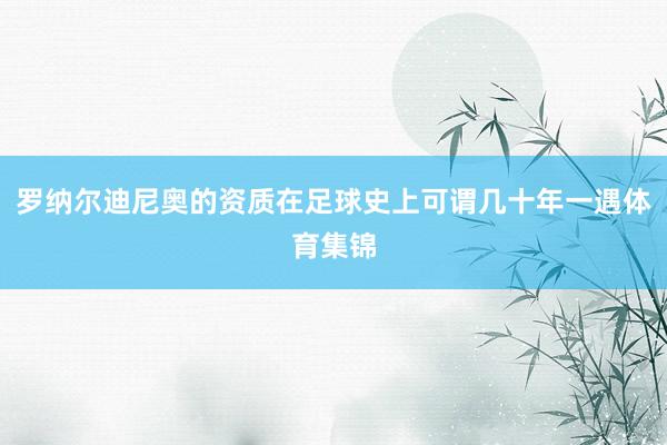 罗纳尔迪尼奥的资质在足球史上可谓几十年一遇体育集锦