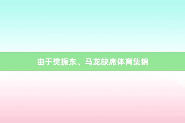 由于樊振东、马龙缺席体育集锦