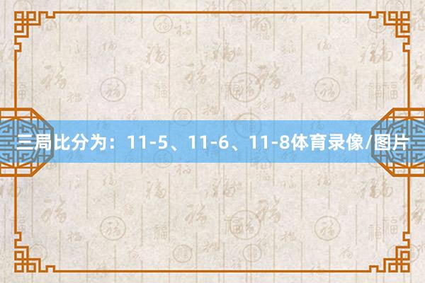 三局比分为：11-5、11-6、11-8体育录像/图片